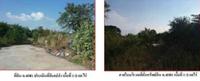ขายที่ดินเปล่า